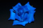 Rosa-Blu