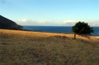 "Piegato dal vento" Creta -Grecia- "Piegato dal vento" Creta -Grecia-