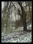 Mago Inverno Mago Inverno