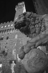 piazza della signoria (firenze) piazza della signoria (firenze)