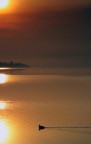 Verso la luce Verso la luce