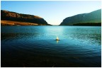 Giornata al lago... Giornata al lago...