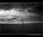 mare d'inverno #1# mare d'inverno #1#