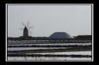Saline Saline