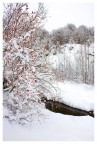 Ancora neve Ancora neve