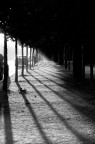 Spennellata di luce Spennellata di luce