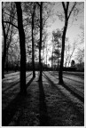 Shadows toward me Shadows toward me