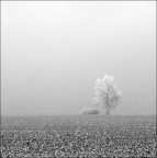 f13, 1/125s, 45mm, ISO100

Suggerimenti e critiche sempre ben accetti