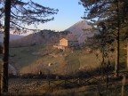 Casale... Casale...