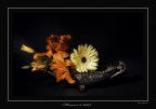 Flowers Flowers