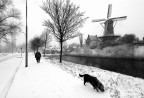 Dutch winter Dutch winter