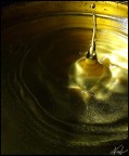 gold gold