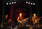 in concerto in concerto