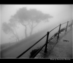 Erice dentro la nebbia