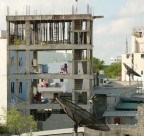 Male marzo 2005 [Leica D2]