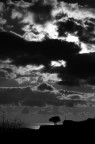 Controluce Controluce