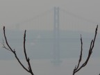 The Bridge The Bridge