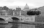 Roma bn2