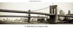 Il Ponte di Brooklyn Il Ponte di Brooklyn