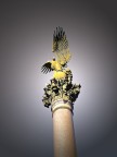 Aquila Aquila