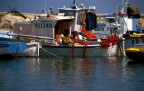 il pescato il pescato