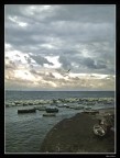 Il gabbiano Il gabbiano