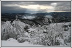 The last one snowed... The last one snowed...