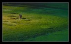 la ragazza del lago.. la ragazza del lago..