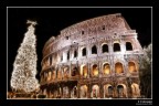 Il Colosseo Il Colosseo