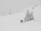 Tra la neve Tra la neve