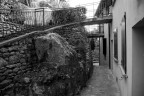 BRISIGHELLA - controvia degli asini BRISIGHELLA - controvia degli asini