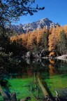 lago Verde lago Verde