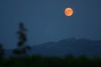 a luna rossa ... a luna rossa ...