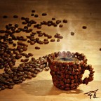 coffee cup coffee cup