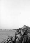 VOLARE VIA... VOLARE VIA...