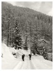 Sulla strada in inverno Sulla strada in inverno