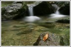 D'autunno . . . . . . D'autunno . . . . . .