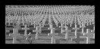 In memory of... In memory of...