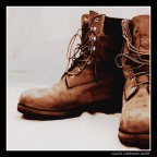 ...I'm sworny independent,
My heart is made of stone,
But you're breaking on through...
...hhhmmm, something 'bout you...

Something About You - Kevin Welch

Critiche e suggerimenti sempre graditi