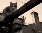 Quando ti guardano dall'alto al basso... Quando ti guardano dall'alto al basso...