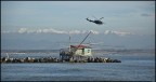 Pesca al volo Pesca al volo