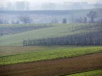 Colline e nebbia Colline e nebbia