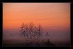 Al tramonto Al tramonto
