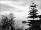 panoramare panoramare