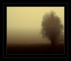 Pensieri confusi...nebbia Pensieri confusi...nebbia