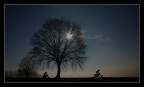 motori sui sentieri motori sui sentieri