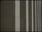 geometric geometric