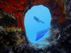 the hole silouette the hole silouette