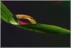 Discesa bloccata Discesa bloccata