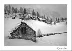 Neve fresca Neve fresca